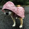 雨の日の散歩は犬用レインコートがおすすめ!!どんな種類がある？