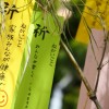 七夕の短冊はいつからいつまで飾るの？片付けはどうする？