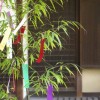 七夕の短冊は川に流す？神社に持ってく？正しい処分方法は？